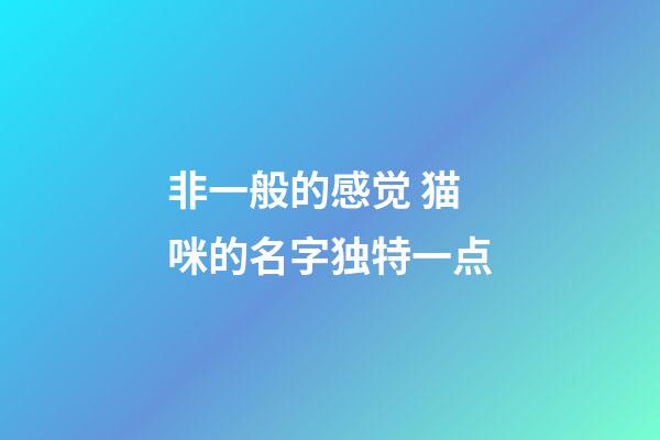 非一般的感觉 猫咪的名字独特一点